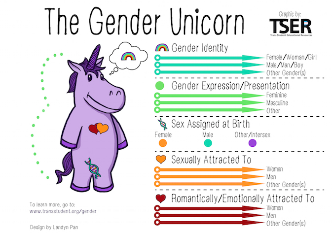 The gender unicorn is an illustration by Trans Student Educational Resources that demonstrates the difference between gender identity, gender expression, orientation,and biological sex. Each group is reprented with sliding scales to demonstrate the possibilitiesof identity.